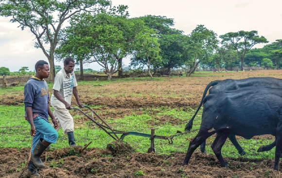 Farmers urged to minimise post-harvest losses