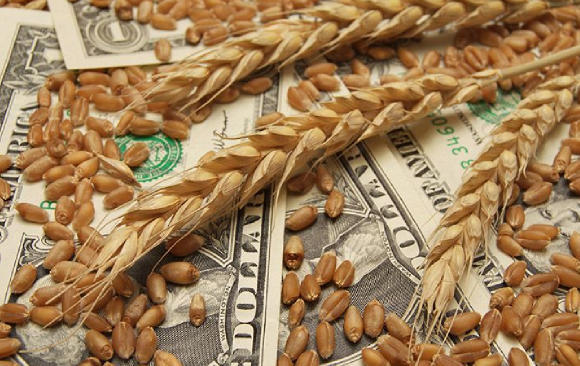 ZMX lays out wheat trading framework