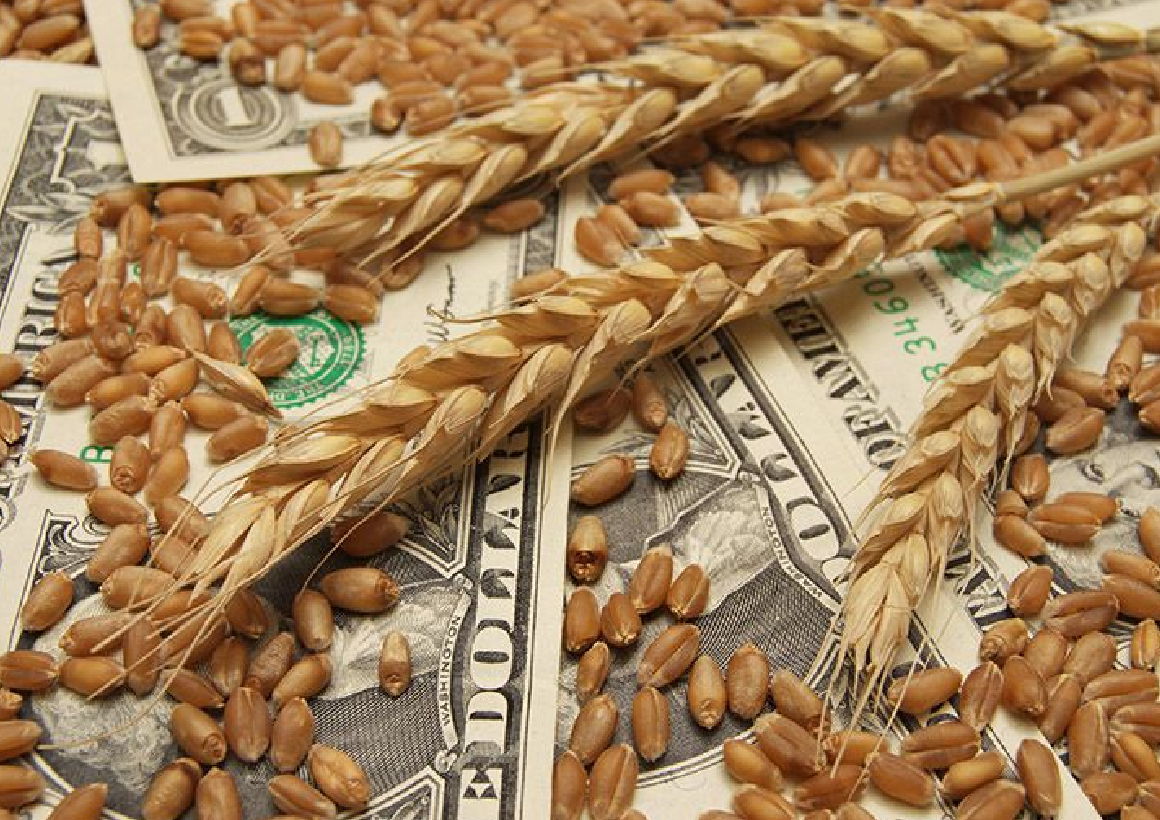 ZMX lays out wheat trading framework